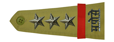 Assistant Police Inspector (A.P.I.)