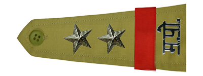 Police Sub-Inspector (P.S.I.)